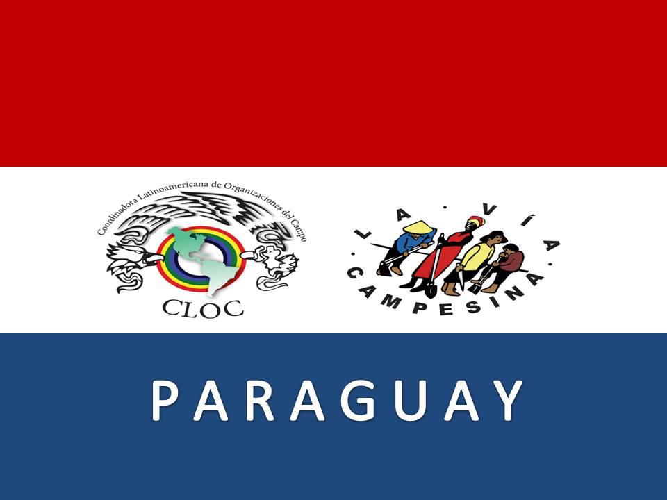 Brigada de Solidaridad con Paraguay
